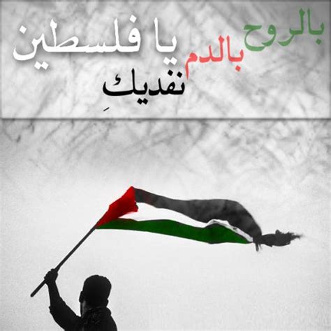 اجمل ما قيل عن فلسطين